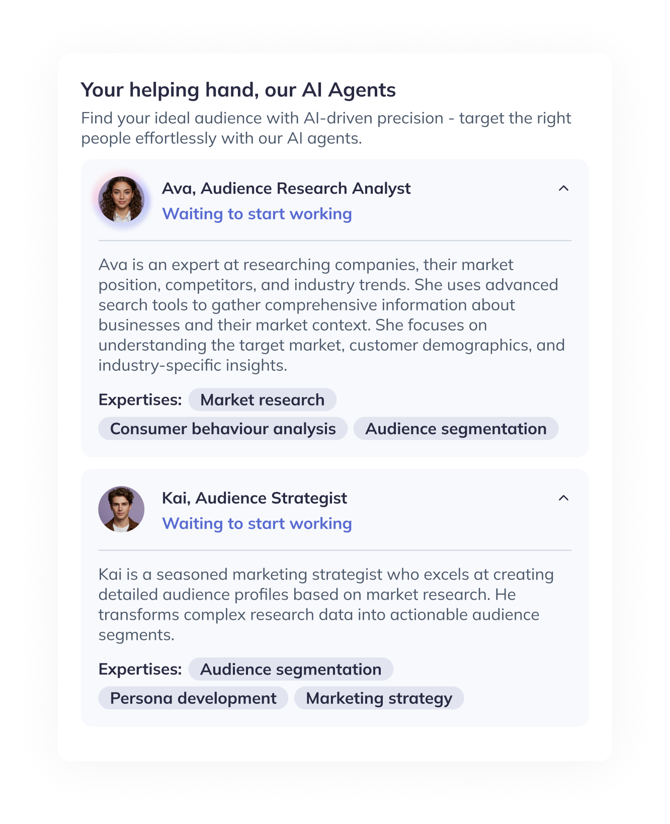 ChatROI AI Agents interface showing audience recommendations by virtual agents Ava and Kai for precision targeting.